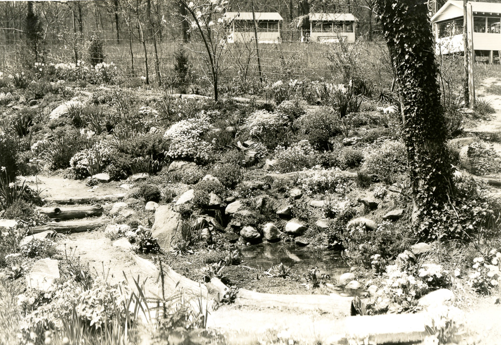Cabins Old2