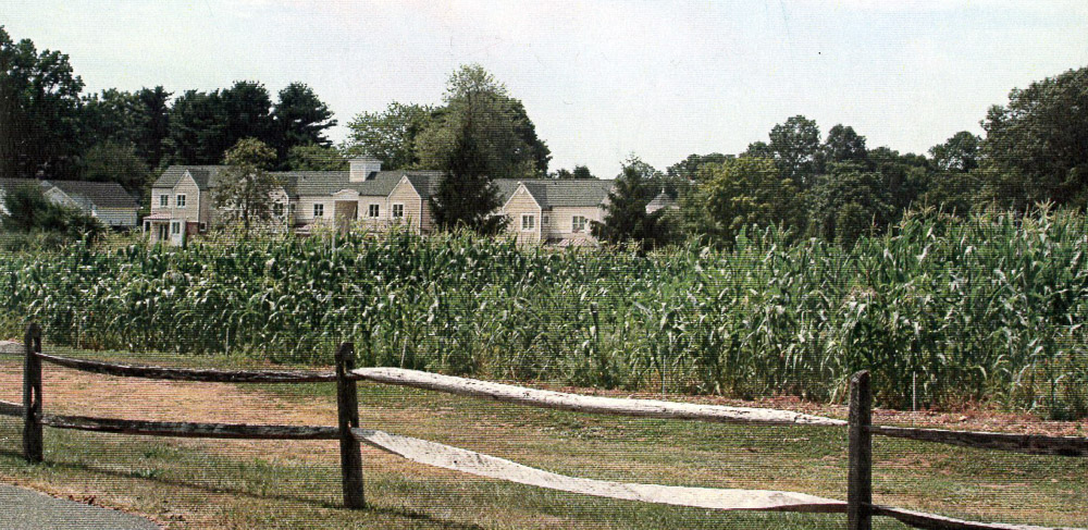 Greenhouse at Upland Farms2