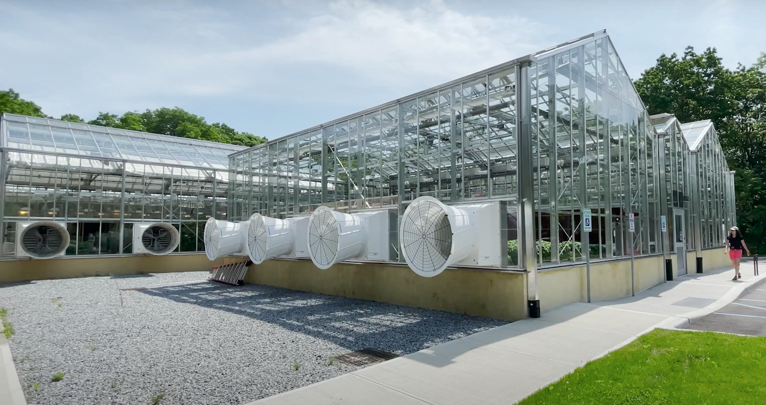 Greenhouse at Upland Farms7