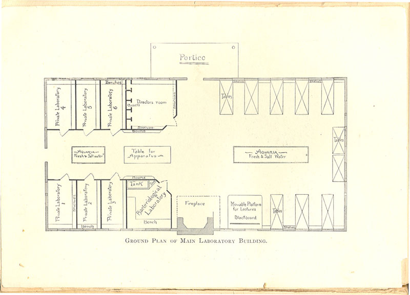 Jones Building3