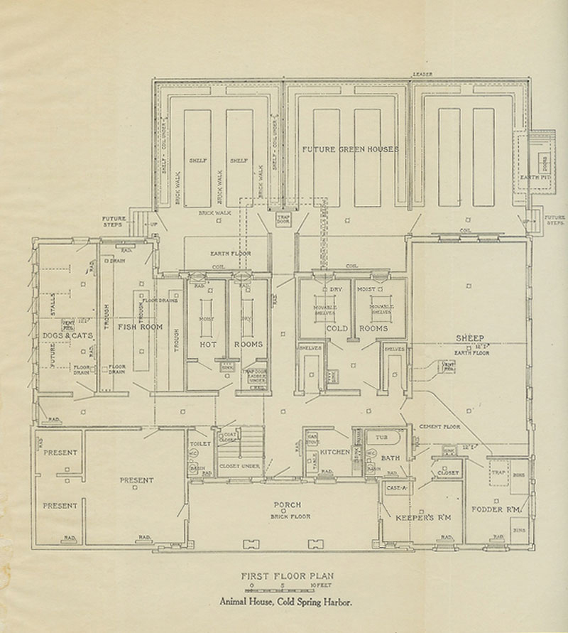 McClintock Laboratory1