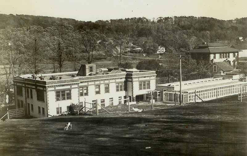 McClintock Laboratory2