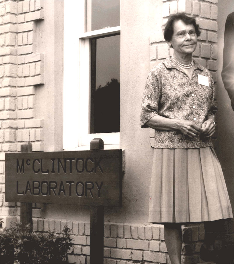 McClintock Laboratory5