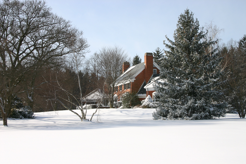 Meier House2