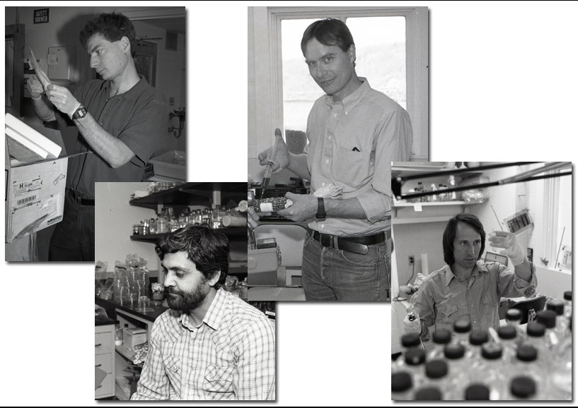 Page Laboratory4