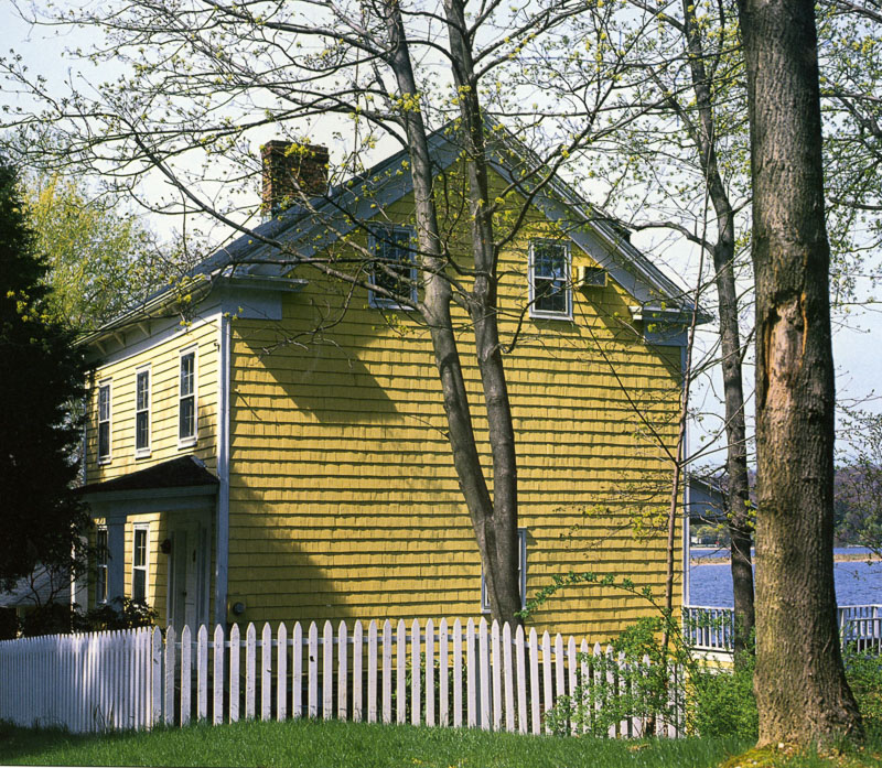 Yellow House3